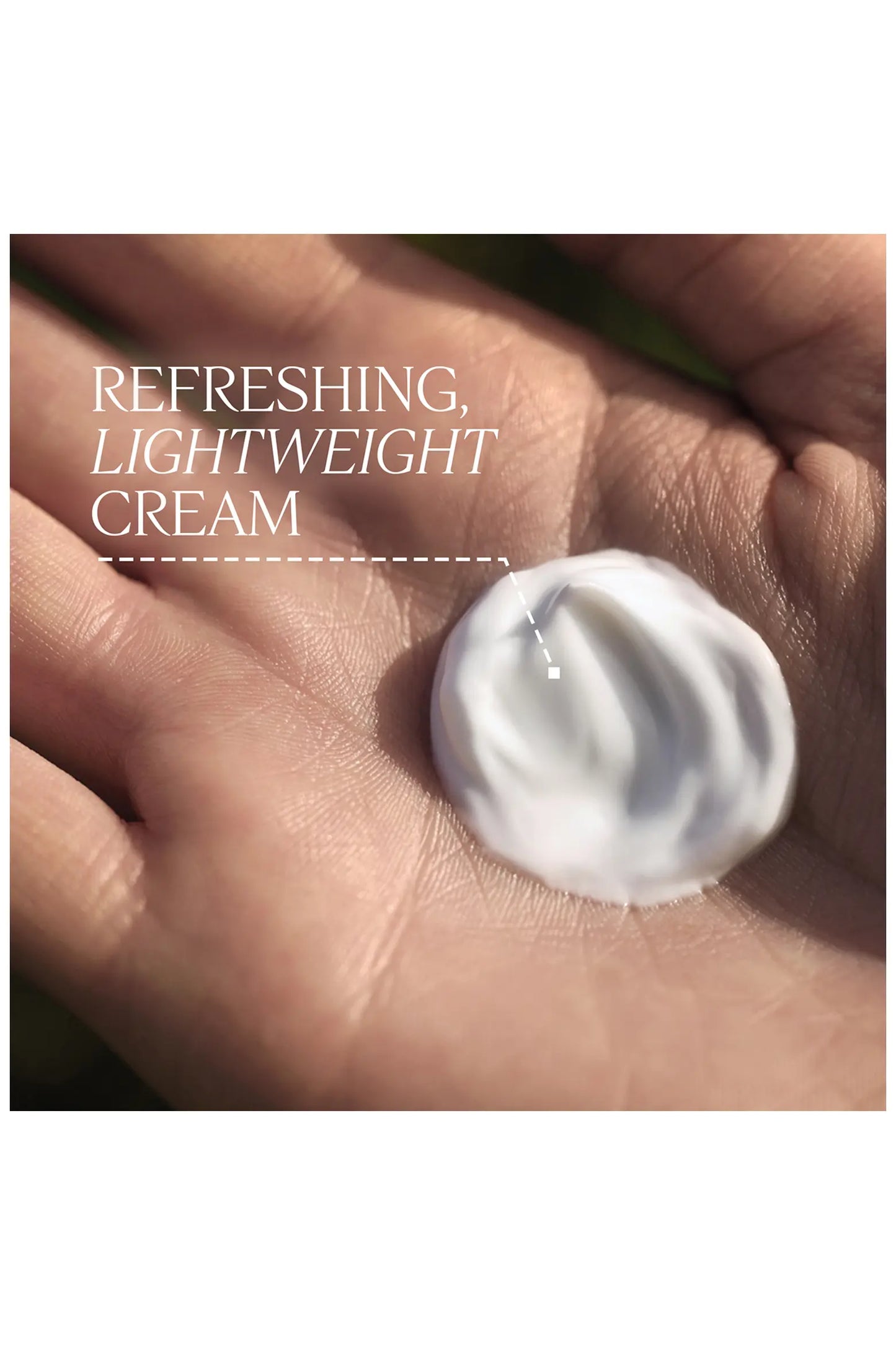 L'Occitane Artichaut Massage Cream