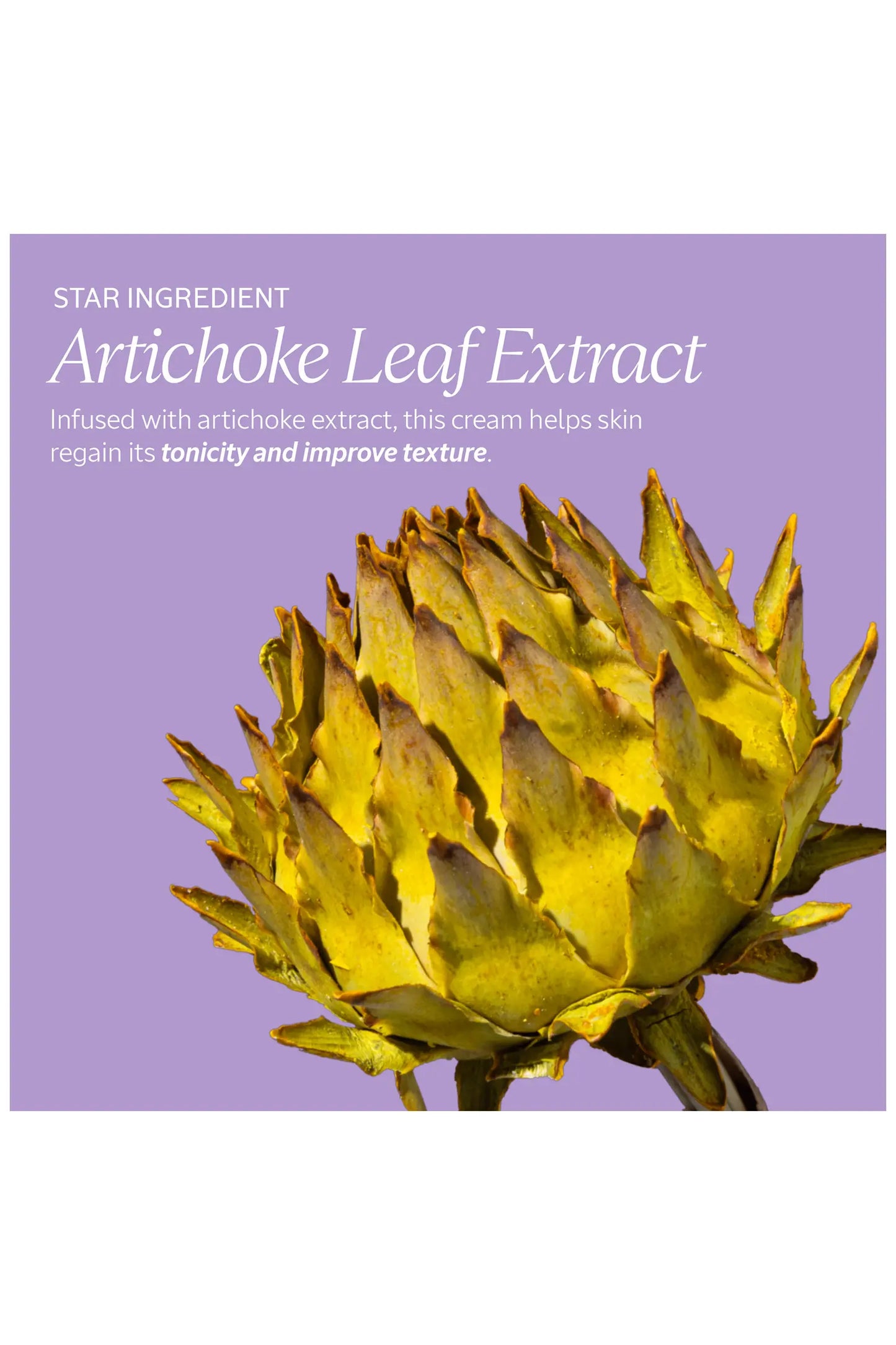 L'Occitane Artichaut Massage Cream