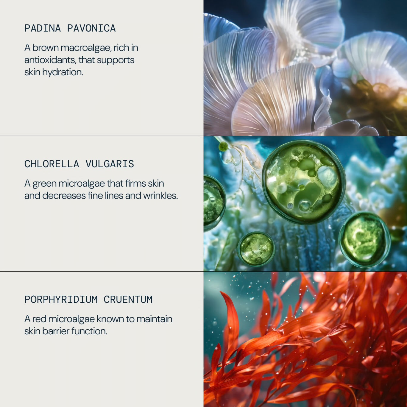 Elemis Pro-Collagen Marine Cream 30ml