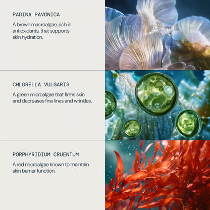 Elemis Pro-Collagen Marine Cream 30ml